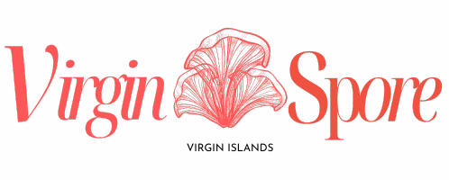 Virgin Spore logo with stylized spore illustration in red and the tagline ‘Locally Rooted, Globally Loved’ beneath the brand name.